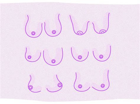 drop tits|The 12 Different Breast Shapes and Types